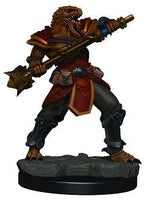 D&D Icons of The Realms Premium: Dragonborn Fighter (Male)