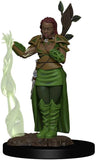 WizKids Dungeons & Dragons Icons of The Realms Premium Miniatures Figure: Human Druid (Female)