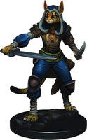 Dungeons & Dragons Premium Male Tabaxi Rogue Pre-Painted Figure Rogue Male