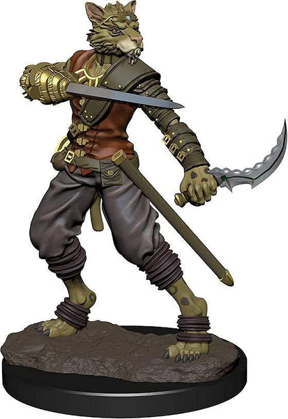 Dungeons & Dragons Premium Male Tabaxi Rogue Pre-Painted Figure Rogue Male
