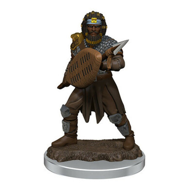 Icons of the Realm: Male Human Fighter Premium Miniature